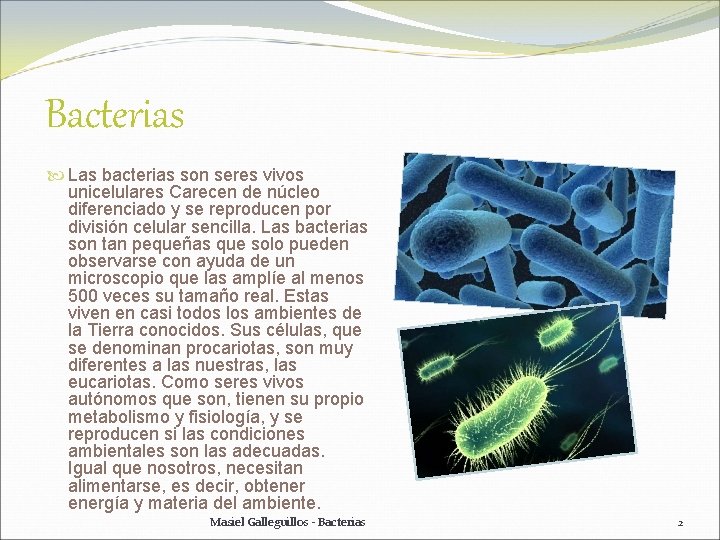 Bacterias Las bacterias son seres vivos unicelulares Carecen de núcleo diferenciado y se reproducen