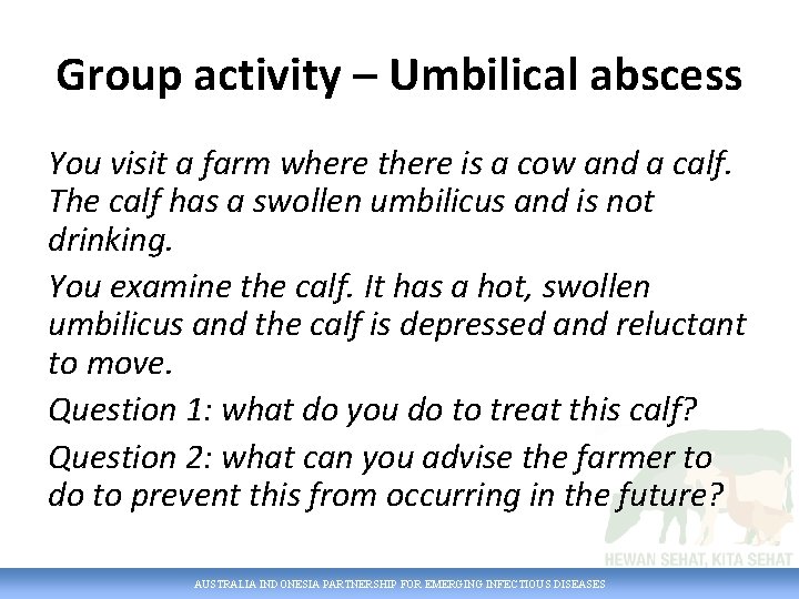 Group activity – Umbilical abscess You visit a farm where there is a cow