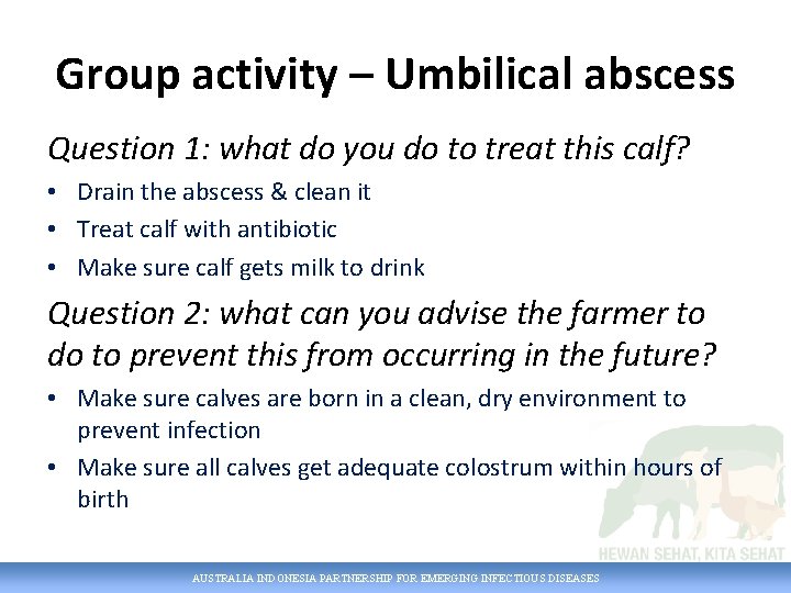 Group activity – Umbilical abscess Question 1: what do you do to treat this