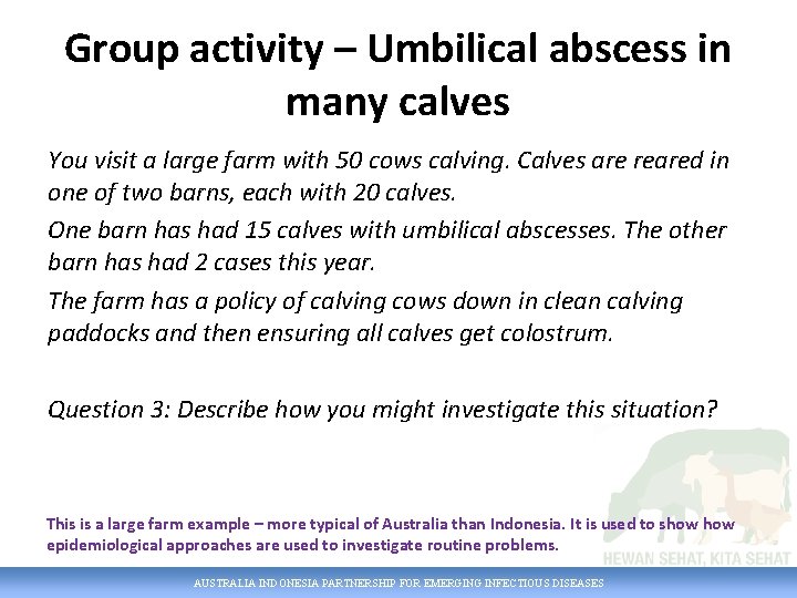 Group activity – Umbilical abscess in many calves You visit a large farm with