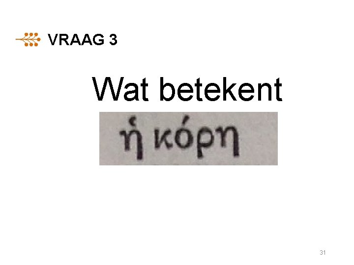 VRAAG 3 Wat betekent 31 