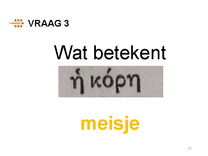 VRAAG 3 Wat betekent meisje 37 