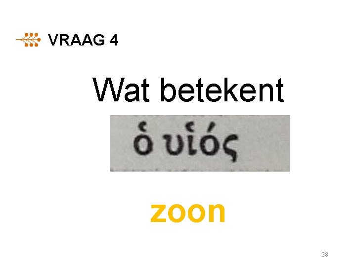 VRAAG 4 Wat betekent zoon 38 