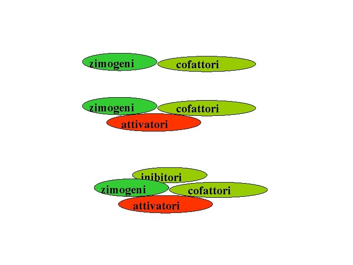 zimogeni cofattori attivatori inibitori zimogeni cofattori attivatori 