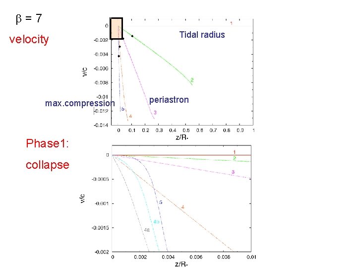  = 7 velocity max. compression Phase 1: collapse Tidal radius periastron 