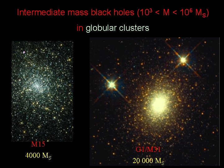 Intermediate mass black holes (103 < M < 106 MS) in globular clusters M