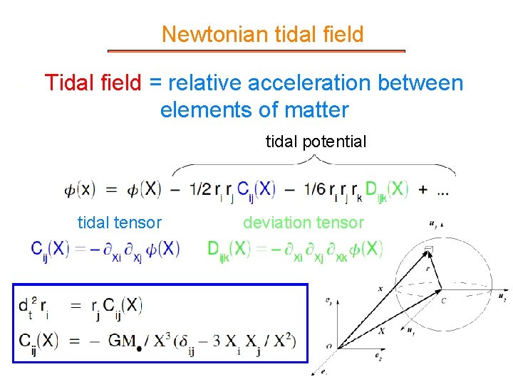 Newtonian tidal field Tidal field = relative acceleration between elements of matter tidal potential