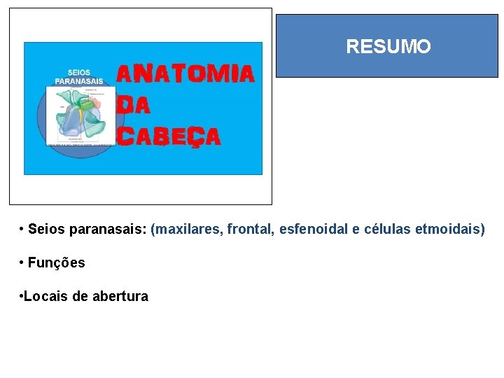 RESUMO • Seios paranasais: (maxilares, frontal, esfenoidal e células etmoidais) • Funções • Locais
