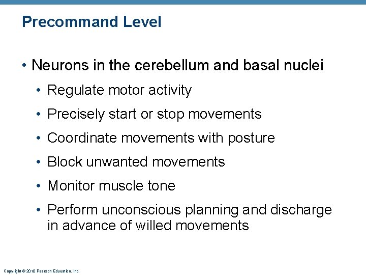 Precommand Level • Neurons in the cerebellum and basal nuclei • Regulate motor activity