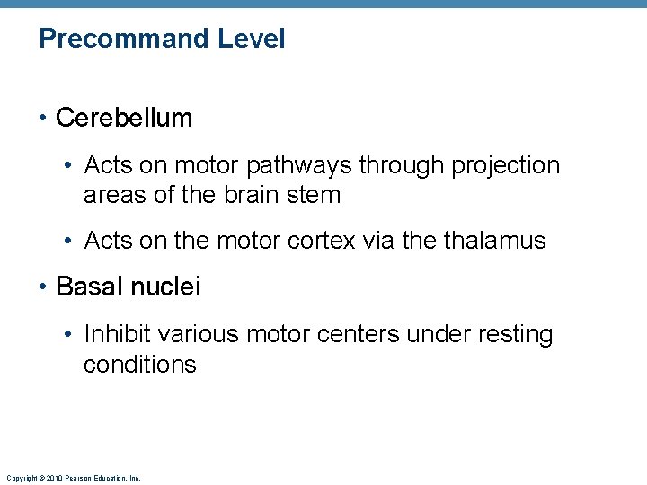 Precommand Level • Cerebellum • Acts on motor pathways through projection areas of the