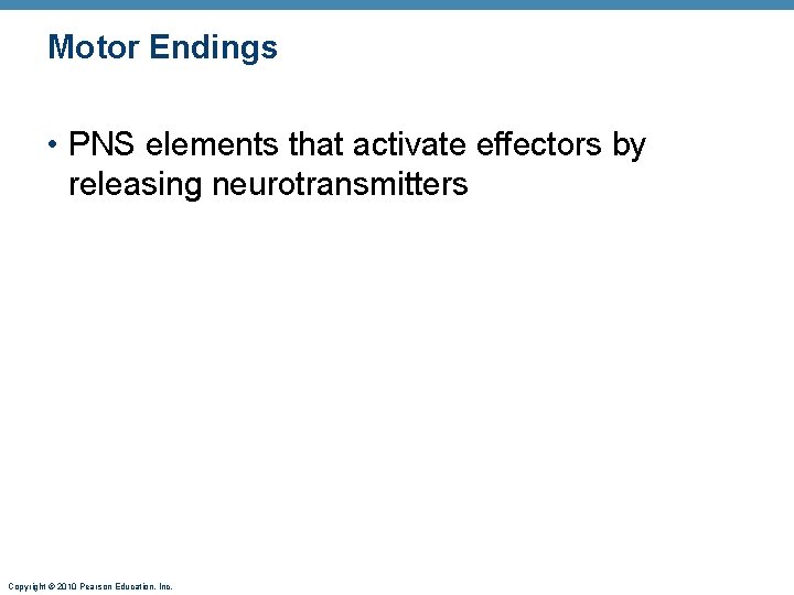 Motor Endings • PNS elements that activate effectors by releasing neurotransmitters Copyright © 2010