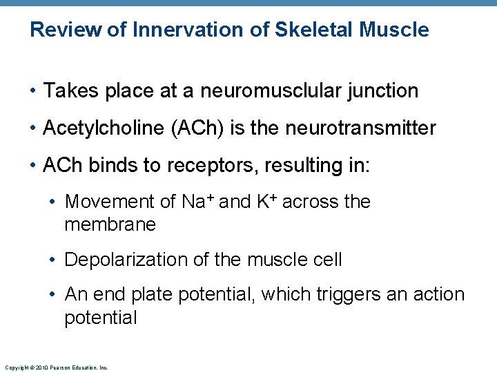 Review of Innervation of Skeletal Muscle • Takes place at a neuromusclular junction •