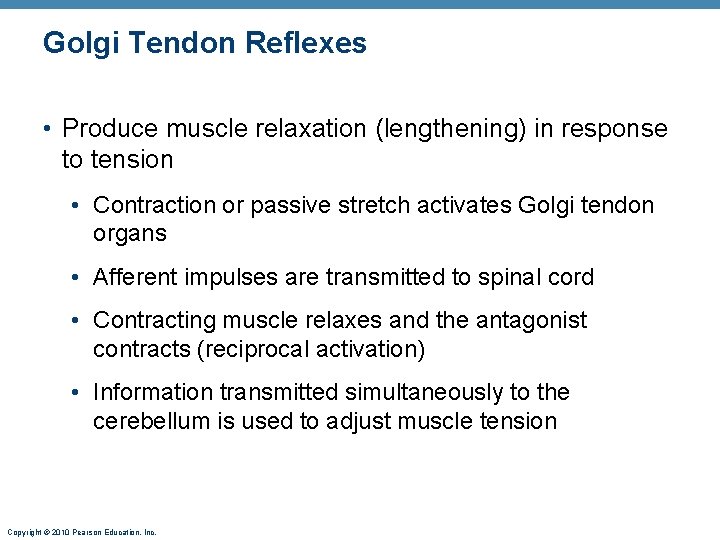 Golgi Tendon Reflexes • Produce muscle relaxation (lengthening) in response to tension • Contraction