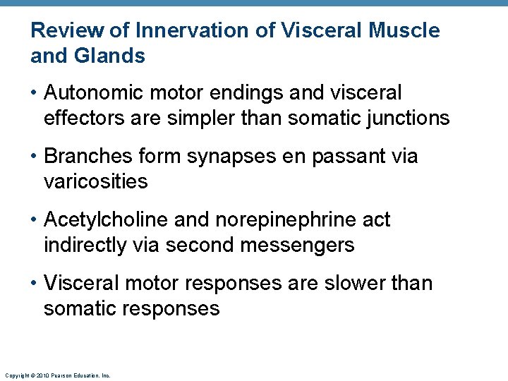 Review of Innervation of Visceral Muscle and Glands • Autonomic motor endings and visceral