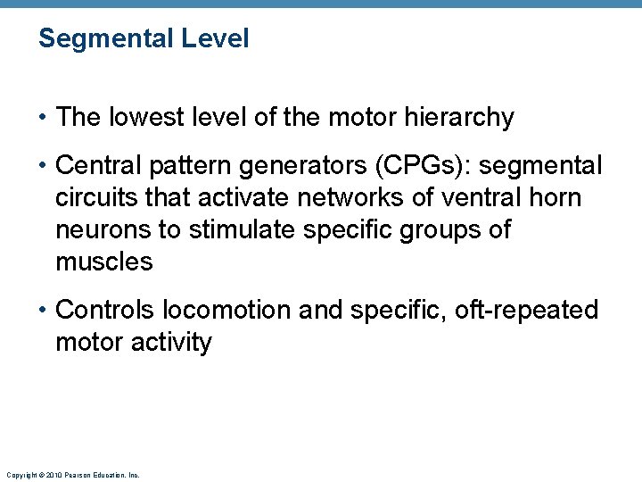 Segmental Level • The lowest level of the motor hierarchy • Central pattern generators
