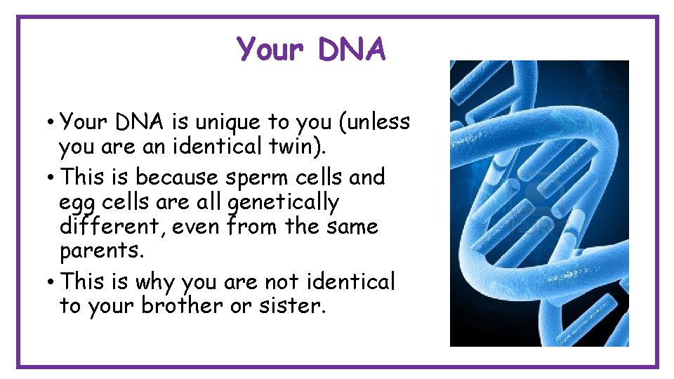 Your DNA • Your DNA is unique to you (unless you are an identical