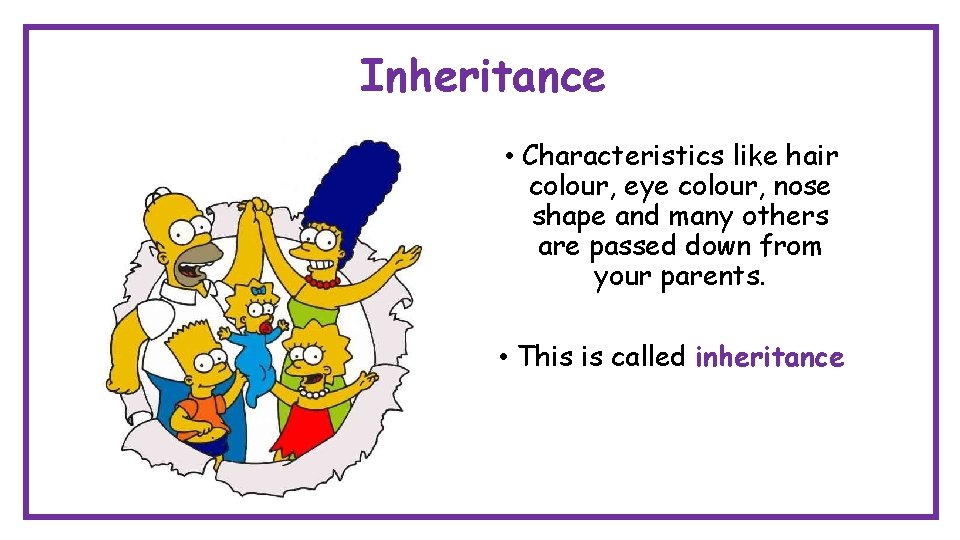 Inheritance • Characteristics like hair colour, eye colour, nose shape and many others are