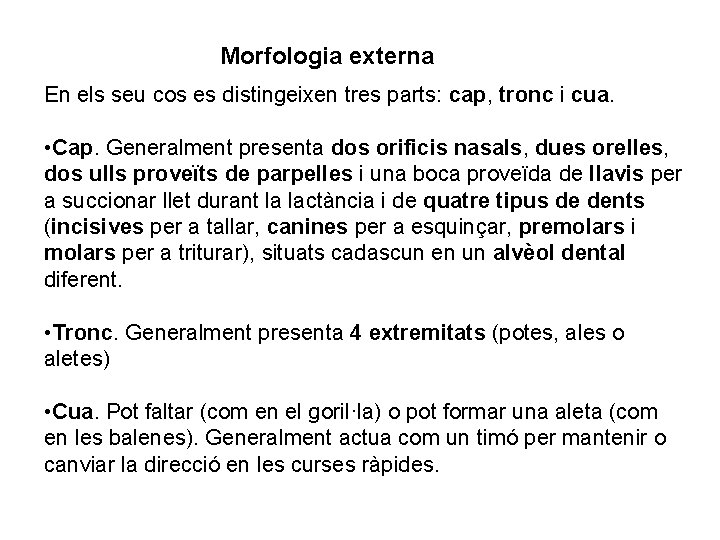 Morfologia externa En els seu cos es distingeixen tres parts: cap, tronc i cua.