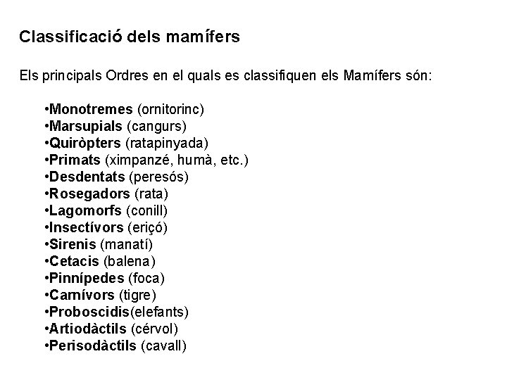 Classificació dels mamífers Els principals Ordres en el quals es classifiquen els Mamífers són: