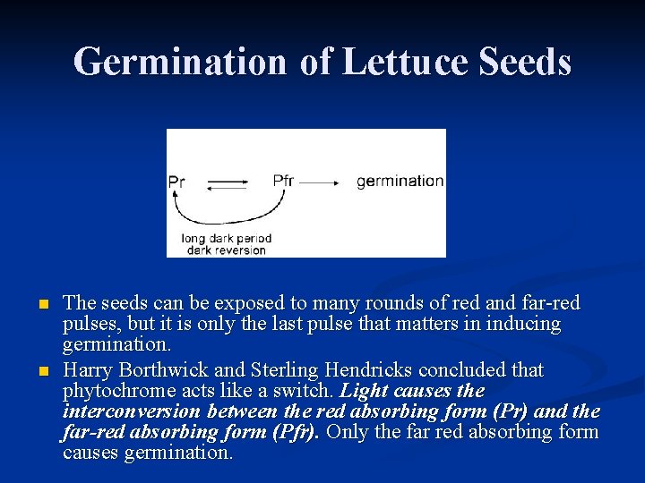 Germination of Lettuce Seeds n n The seeds can be exposed to many rounds