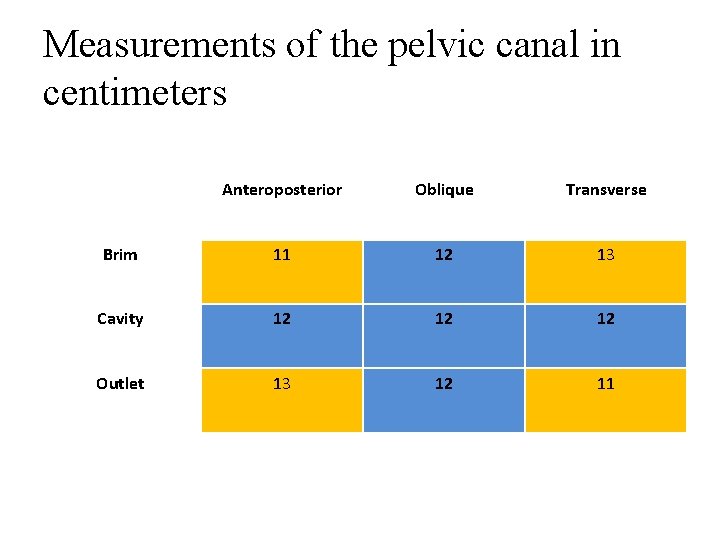 Measurements of the pelvic canal in centimeters Anteroposterior Oblique Transverse Brim 11 12 13