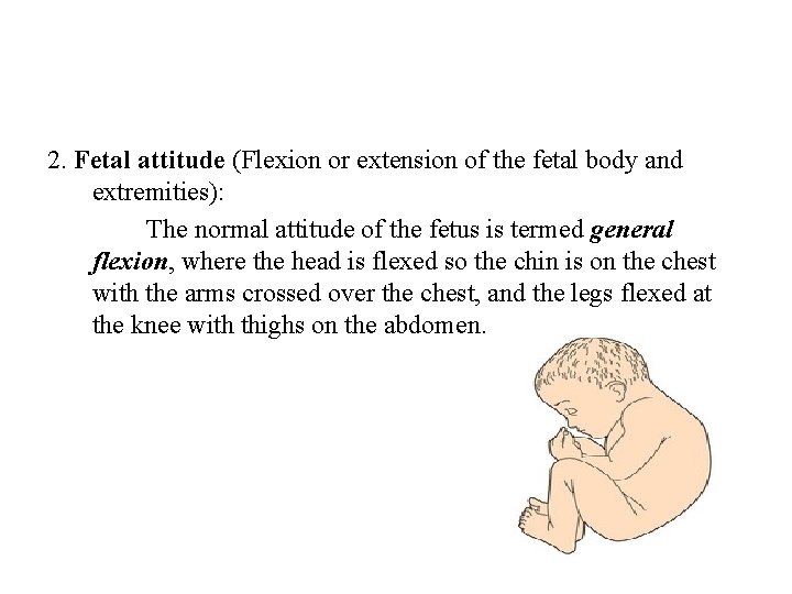 2. Fetal attitude (Flexion or extension of the fetal body and extremities): The normal