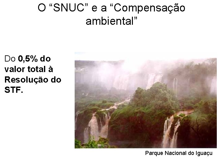 O “SNUC” e a “Compensação ambiental” Do 0, 5% do valor total à Resolução