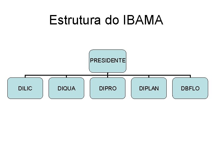 Estrutura do IBAMA PRESIDENTE DILIC DIQUA DIPRO DIPLAN DBFLO 