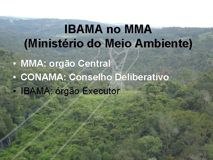 IBAMA no MMA (Ministério do Meio Ambiente) • • • MMA: orgão Central CONAMA: