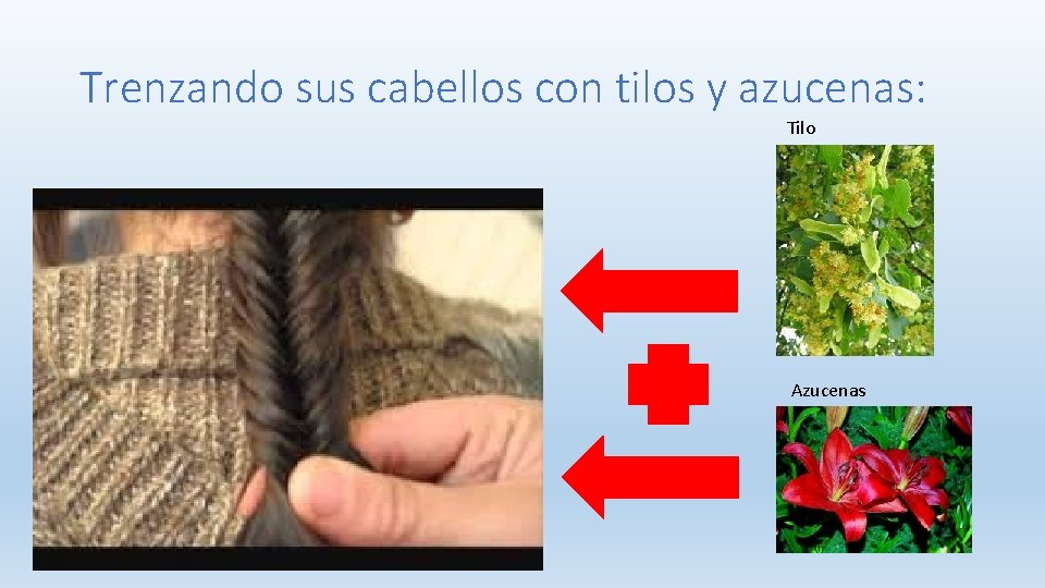 Trenzando sus cabellos con tilos y azucenas: Tilo Azucenas 