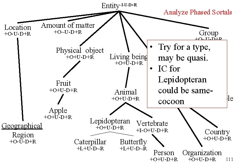 Entity-I-U-D+R Location Amount of matter +O-U-D+R +O~U-D+R +O+U-D+R Fruit +O+U-D+R Apple +O+U-D+R Geographical Region