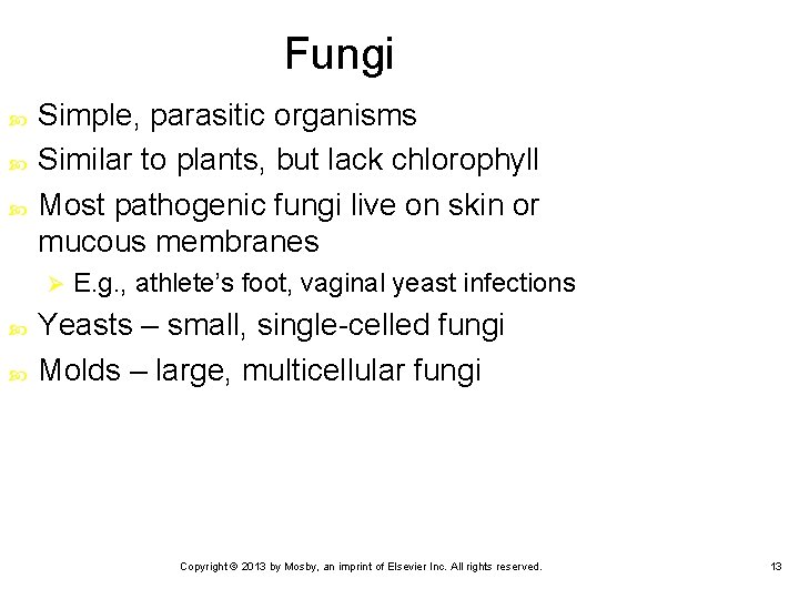 Fungi Simple, parasitic organisms Similar to plants, but lack chlorophyll Most pathogenic fungi live