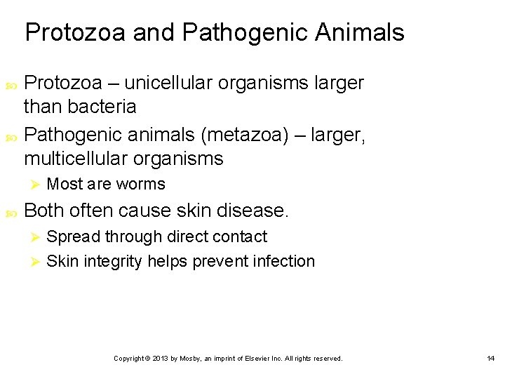Protozoa and Pathogenic Animals Protozoa – unicellular organisms larger than bacteria Pathogenic animals (metazoa)