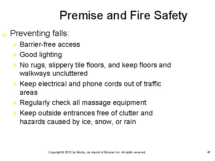 Premise and Fire Safety Preventing falls: Barrier-free access Ø Good lighting Ø No rugs,