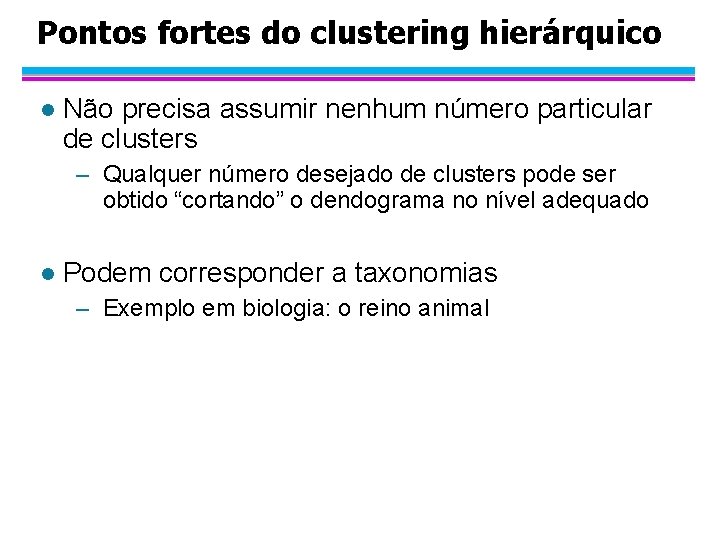 Pontos fortes do clustering hierárquico l Não precisa assumir nenhum número particular de clusters