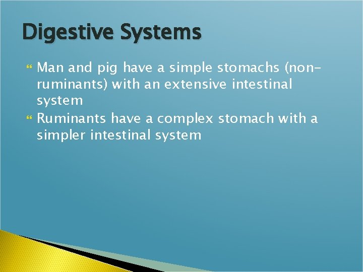 Digestive Systems Man and pig have a simple stomachs (nonruminants) with an extensive intestinal