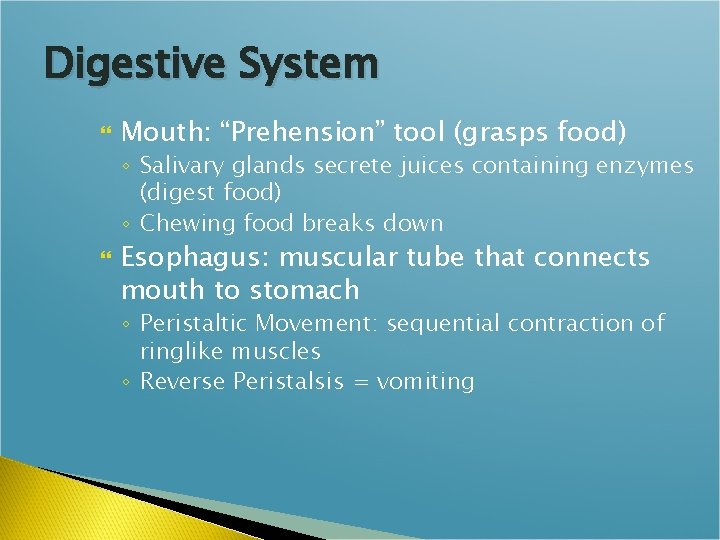 Digestive System Mouth: “Prehension” tool (grasps food) ◦ Salivary glands secrete juices containing enzymes