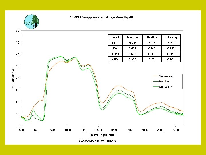 Tree # Senescent Healthy Unhealthy REIP 697. 6 728. 5 706. 9 NDVI 0.