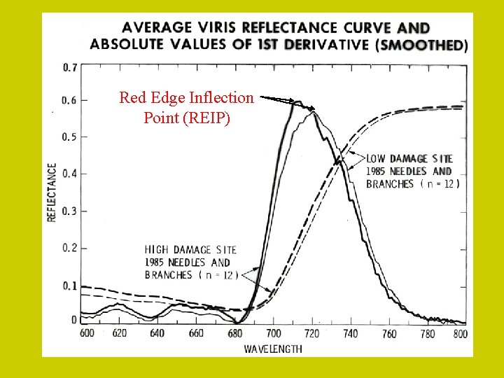 Red Edge Inflection Point (REIP) 