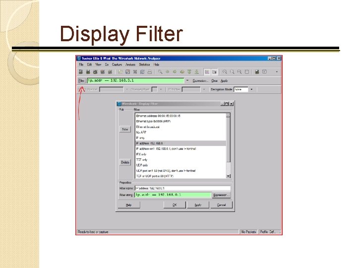 Display Filter 