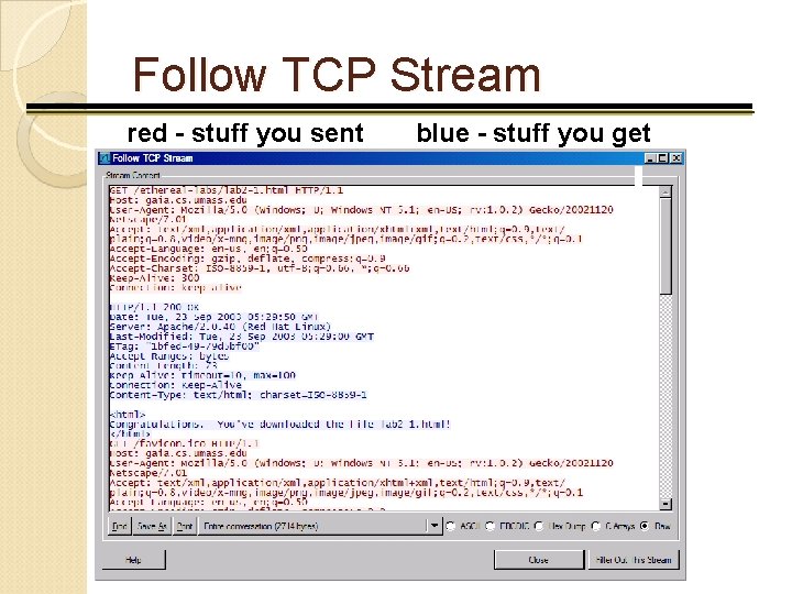 Follow TCP Stream red - stuff you sent blue - stuff you get 