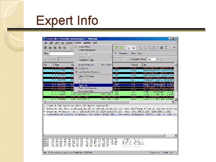 Expert Info 