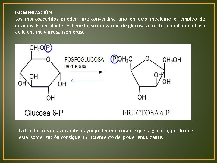 ISOMERIZACIÓN Los monosacáridos pueden interconvertirse uno en otro mediante el empleo de enzimas. Especial