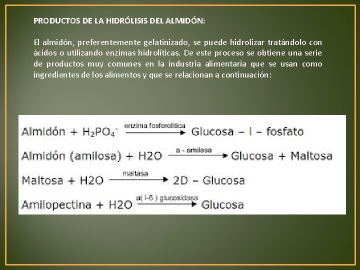 PRODUCTOS DE LA HIDRÓLISIS DEL ALMIDÓN: El almidón, preferentemente gelatinizado, se puede hidrolizar tratándolo