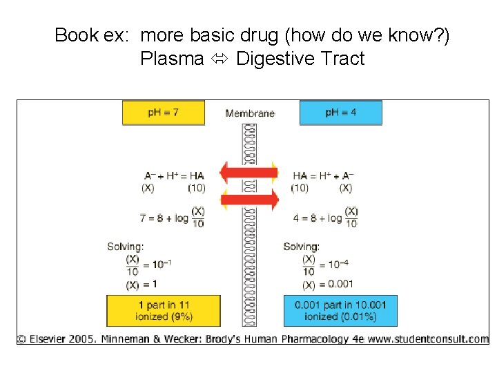Book ex: more basic drug (how do we know? ) Plasma Digestive Tract 