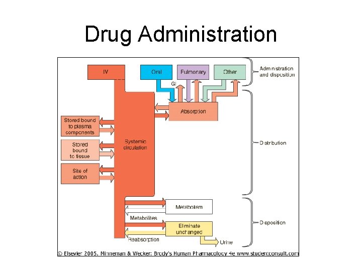 Drug Administration 