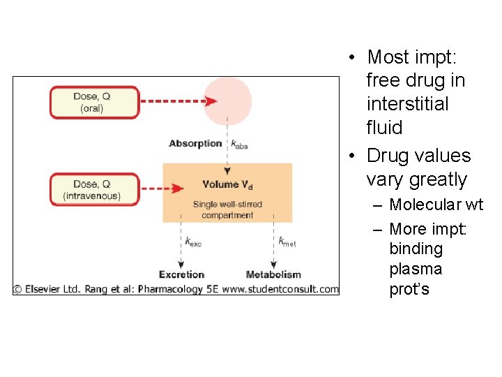  • Most impt: free drug in interstitial fluid • Drug values vary greatly