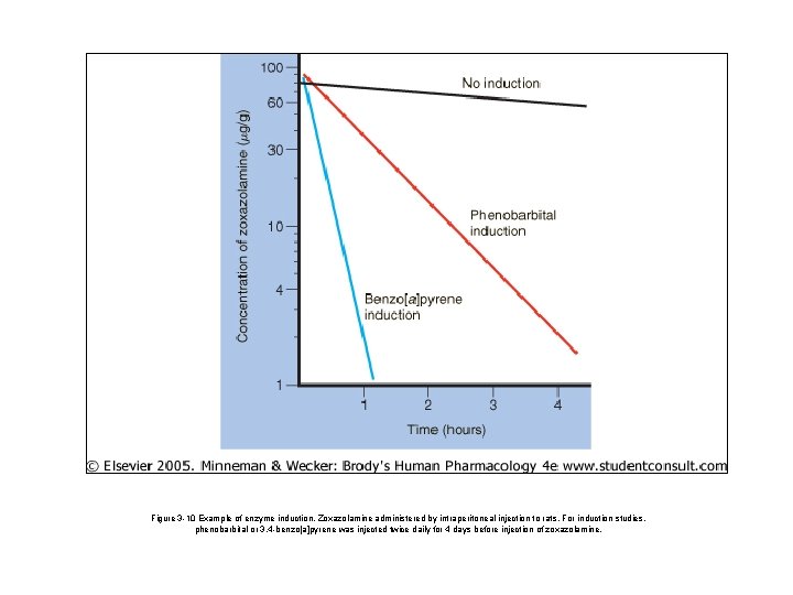 Figure 3 -10 Example of enzyme induction. Zoxazolamine administered by intraperitoneal injection to rats.