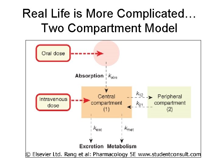 Real Life is More Complicated… Two Compartment Model 