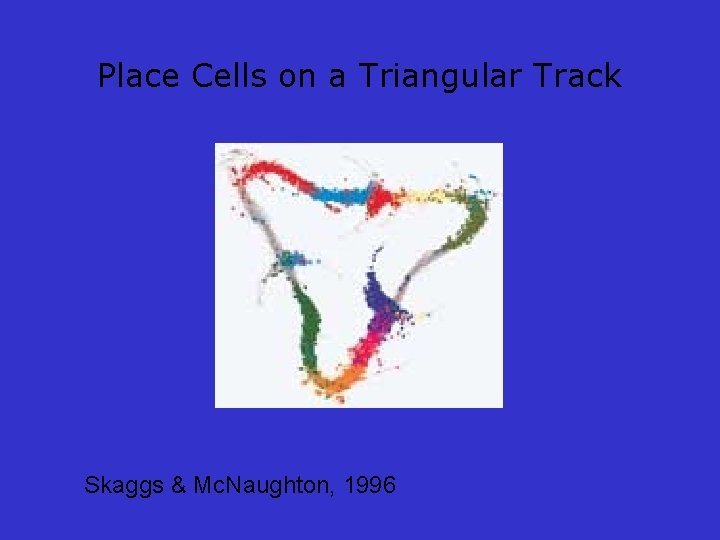 Place Cells on a Triangular Track Skaggs & Mc. Naughton, 1996 